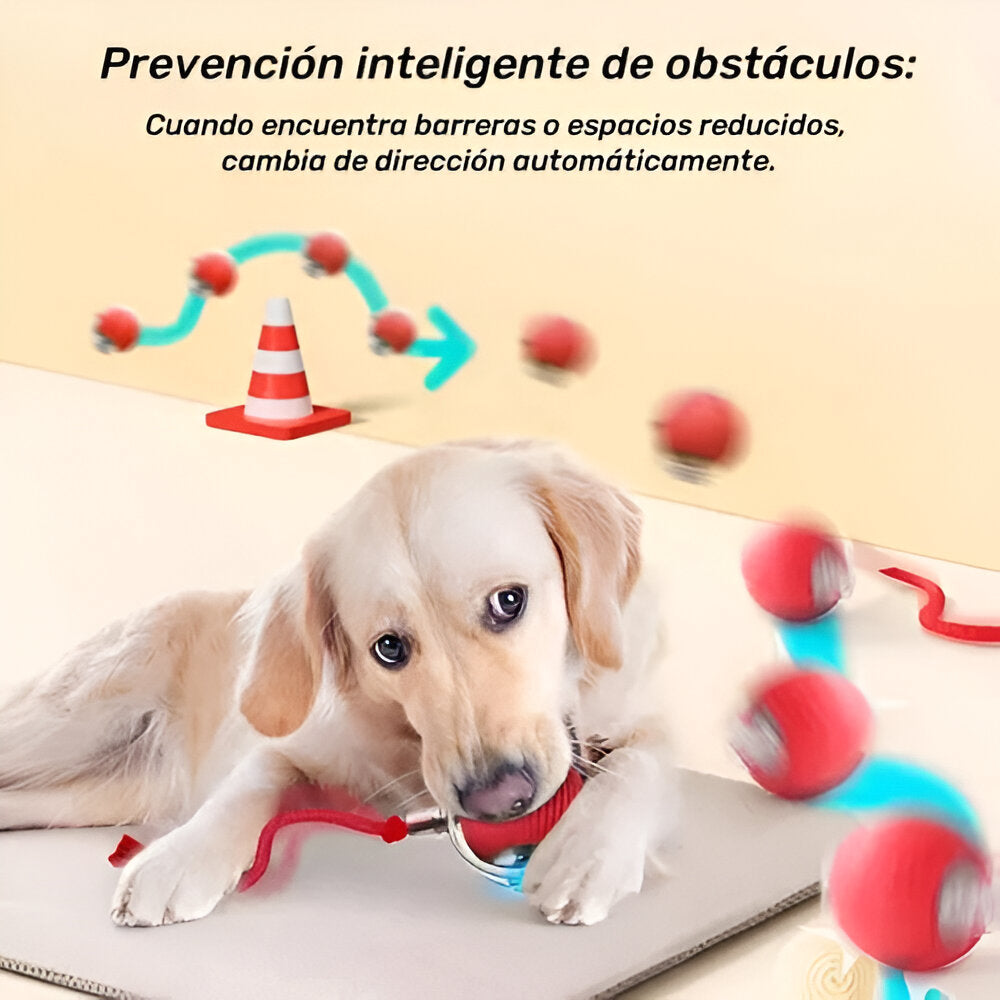 Pelota rondel