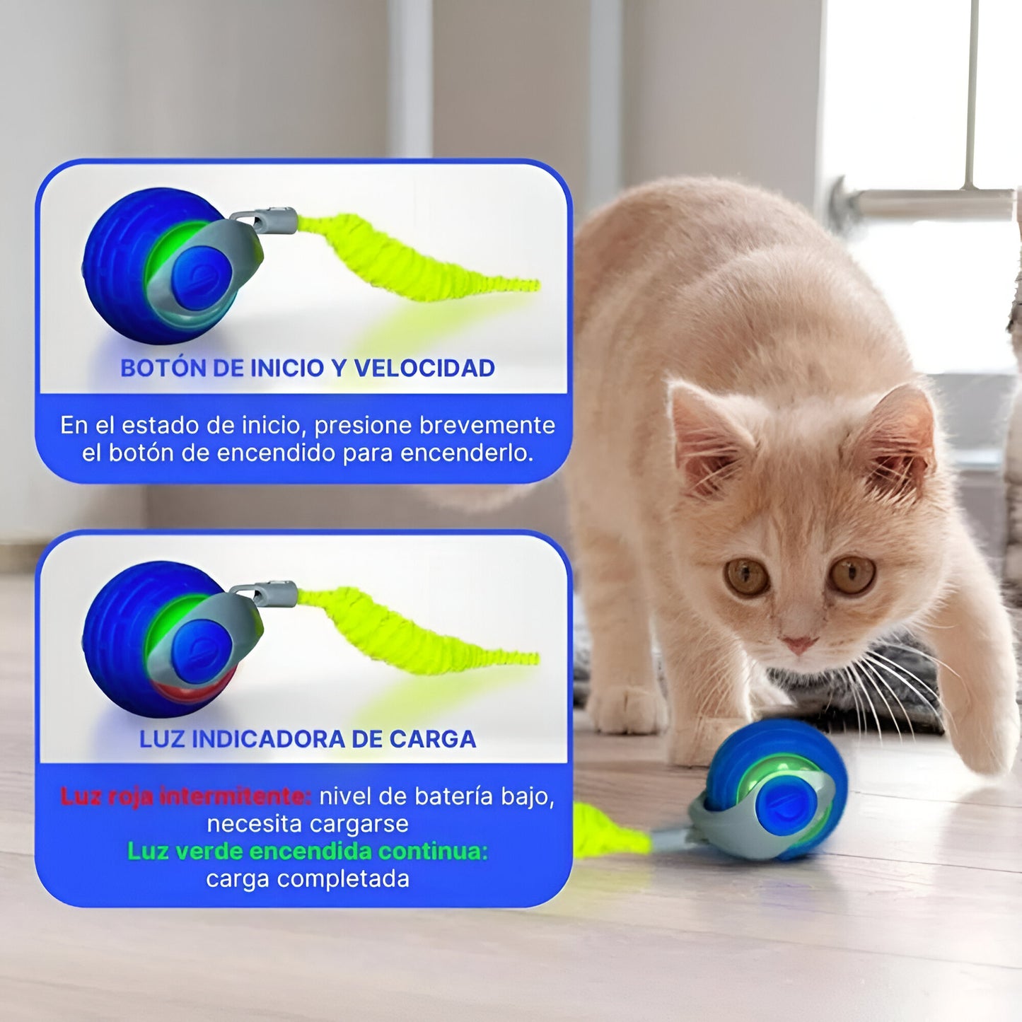 Pelota rondel